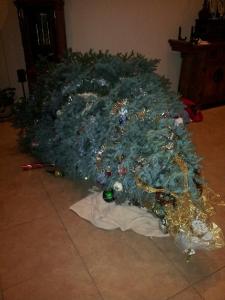 Again, not our fault!