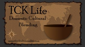 Domestic-Cultural-Blending